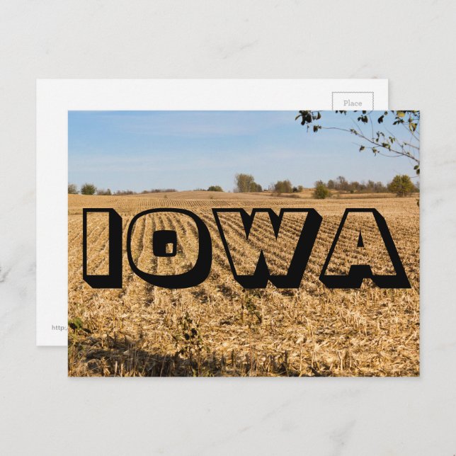 Cartão Postal IOWA Cornfield Panorama Panorâmica Panorâmica Foto (Frente/Verso)