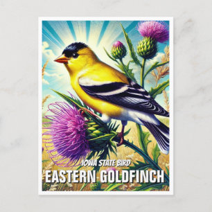 Cartão Postal Iowa State Bird Eastern Goldfinch