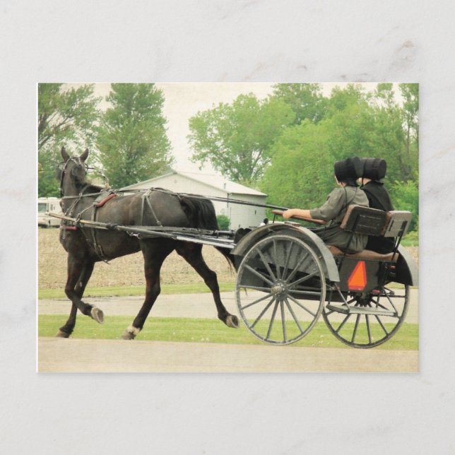 Cartão Postal Ir para a Cidade (Frente)