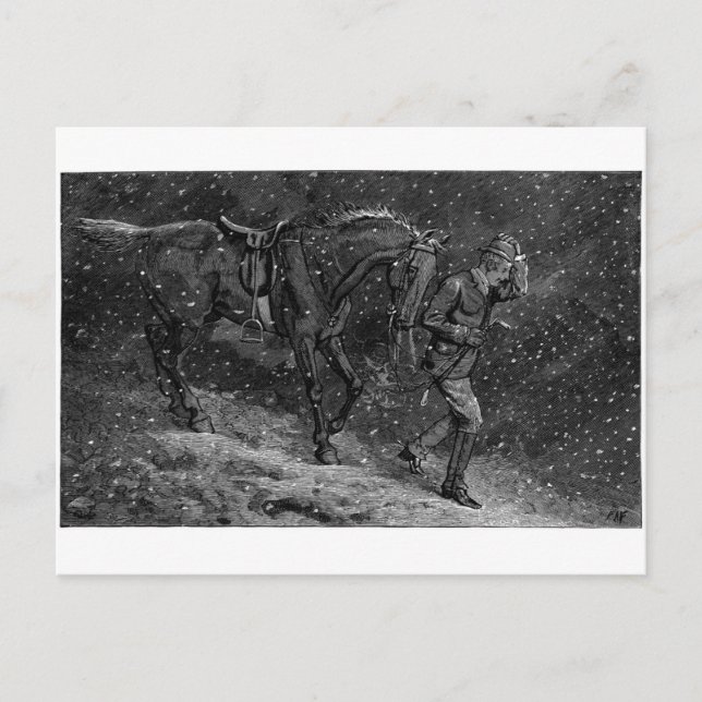 Cartão Postal Ir para casa ao amor em um algodão (Frente)