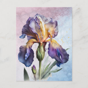 Cartão Postal Iris
