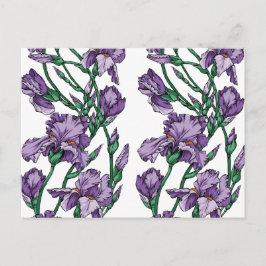 Cartão Postal Iris