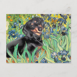 Cartão Postal Íris - Dachsund (BT4)