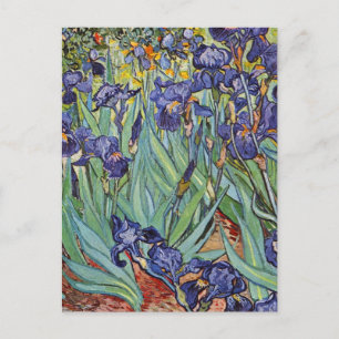 Cartão Postal Íris de Van Gogh Pintura Impressionista