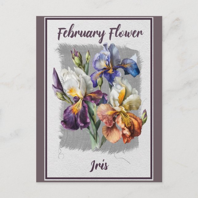 Cartão Postal Iris Floral Flor de Fevereiro Vintage (Frente)