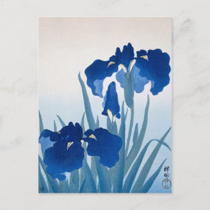 Cartão Postal Iris Flowers: Pintura de Ohara Koson
