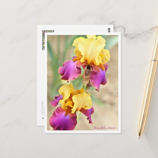 Cartão Postal Iris Gala Madrid (Frente/Verso In Situ)