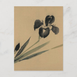 Cartão Postal Iris Japonês Ukiyo-e Art