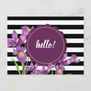 Cartão Postal Iris Púrpura Iris Floral Black Stripes Brancas