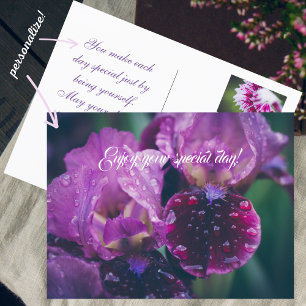 Cartão Postal Íris roxa após a chuva