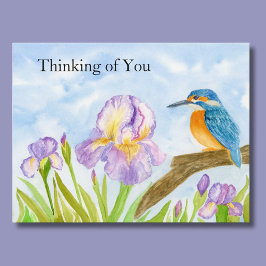 Cartão Postal Iris Roxo do Martim-Pescador em Aquarela Pensando 