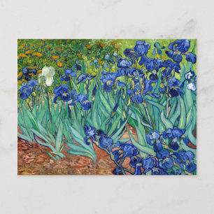Cartão Postal Íris Vincent van Gogh Pintura Floral Vintage