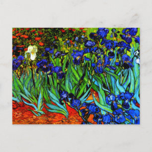 Cartão Postal Irises, a famosa pintura floral de Van Gogh