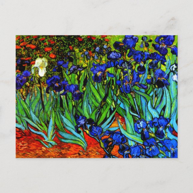 Cartão Postal Irises, a famosa pintura floral de Van Gogh (Frente)