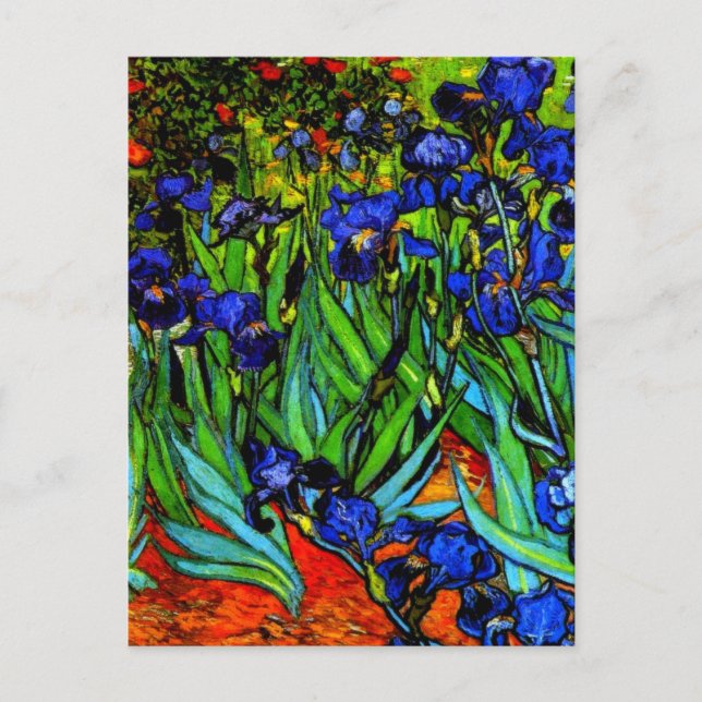 Cartão Postal Irises, a famosa pintura floral de Van Gogh (Frente)