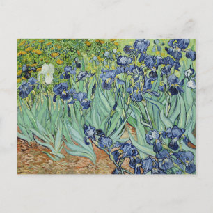Cartão Postal Írises de Vincent van Gogh