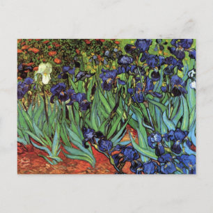 Cartão Postal Írises de Vincent van Gogh, Arte do Jardim de Vint