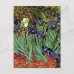 Cartão Postal Írises de Vincent van Gogh, Arte do Jardim de Vint<br><div class="desc">Irrises (1889), de Vincent van Gogh, é uma pintura floral de paisagens de apos impressionismo de arte, que inclui um jardim com íris roxos barbudos que crescem com papoilas laranja. Uma flor branca de íris solteiro está florescendo na borda. Sobre o artista: Vincent Willem van Gogh (1853-1890) foi um dos...</div>