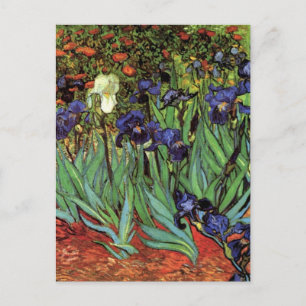 Cartão Postal Írises de Vincent van Gogh, Arte do Jardim de Vint