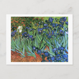 Cartão Postal Írises (F608) Van Gogh Fine Art