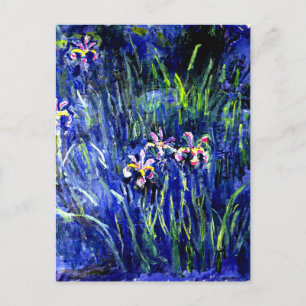 Cartão Postal Irises, famosa pintura de Monet,