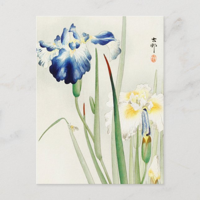 Cartão Postal Irises Floral Flower Painting de Ohara Koson (Frente)