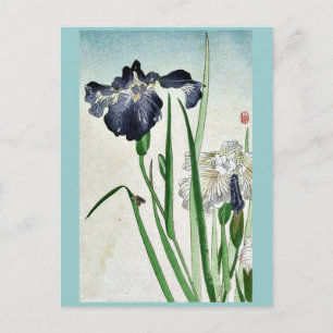 Cartão Postal Irises Ukiyoe
