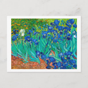 Cartão Postal Irises, Vincent van Gogh