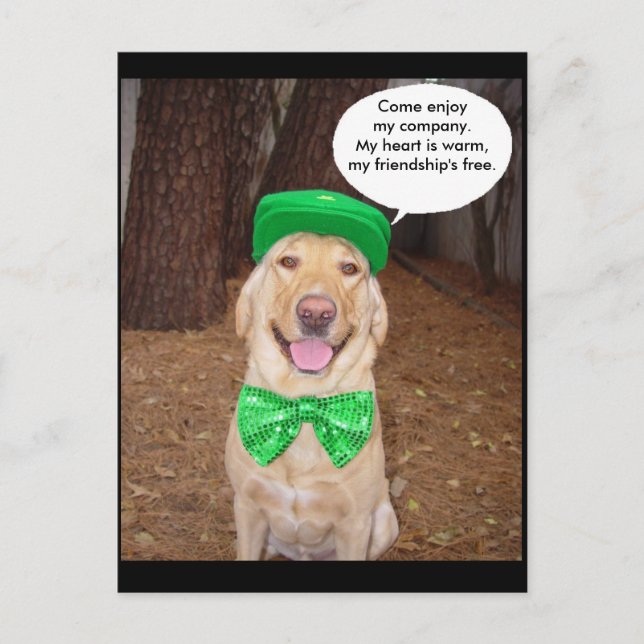 Cartão Postal Irish Lab Diz: (Frente)