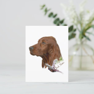 Cartão Postal Irish Setter