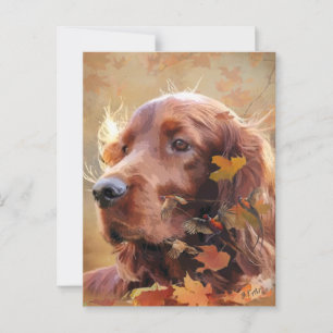 Cartão Postal Irish Setter