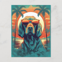 Cartão Postal Irish Setter com óculos escuros na praia