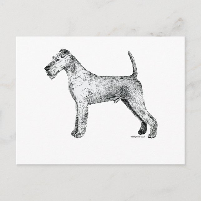 Cartão Postal Irish Terrier (Frente)