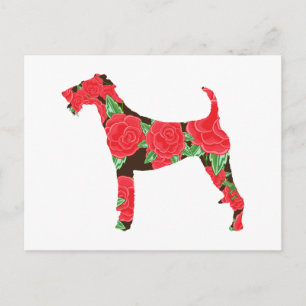 Cartão Postal Irish Terrier