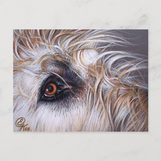 Cartão Postal Irish Wolfhound (Frente)