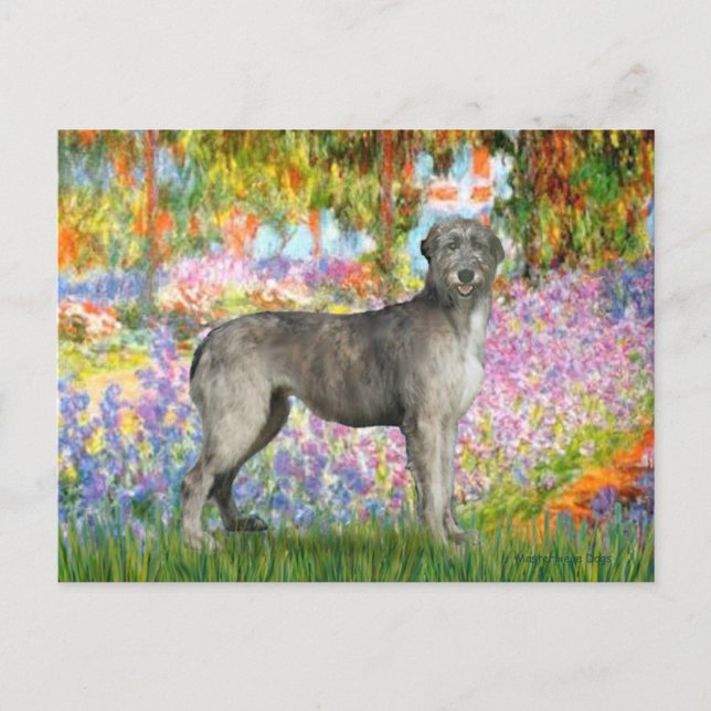 Cartão Postal Irish Wolfhound 3 - Jardim (Frente)