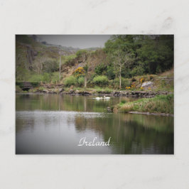 Cartão Postal Irlanda, County Cork, Lake, Swans, Fotografia