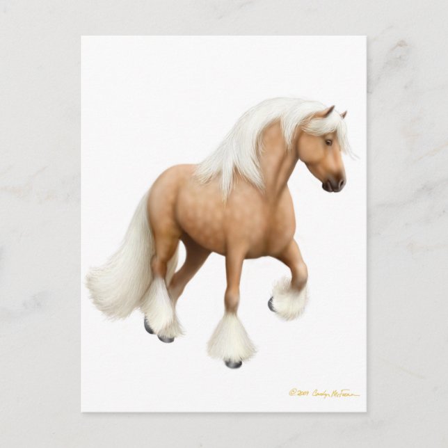 Cartão postal irlandês Cob Horse (Frente)