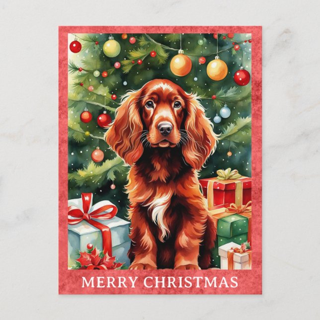 Cartão Postal Irlandês Setter Feliz Natal Cachorro De Cachorro (Frente)