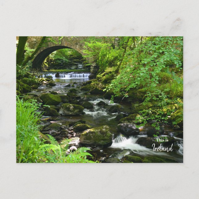 Cartão Postal Irlandês Verde - Irlanda (Frente)