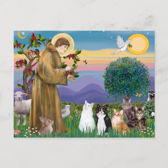 Cartão Postal Irmã Frances abençoando 5 gatos (Frente)
