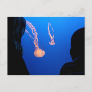 Cartão Postal Irmãos