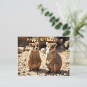 Cartão Postal Irmãos Idênticos: Gêmeos Quokka Australianos,