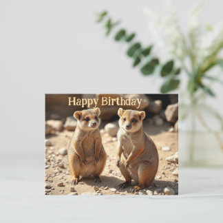 Cartão Postal Irmãos Idênticos: Gêmeos Quokka Australianos,