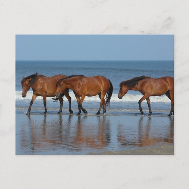 Cartão Postal Irmãs de Praia (Frente)
