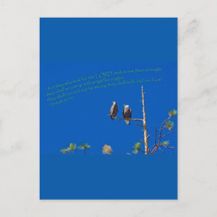 Cartão Postal Isaiah 40:31