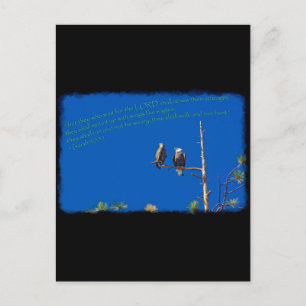 Cartão Postal Isaiah 40:31 em preto