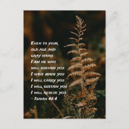Cartão Postal Isaías 46:4 Eu sou Aquele que vos sustentará Cart