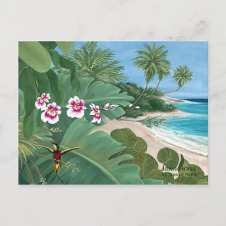 Cartão Postal ISLAND ORCHIDS por Diana S Martin