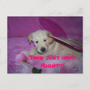 Cartão Postal isto é tão humilhante, isto não está certo!!